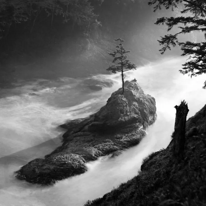 “Souvenirs Of A Broken Life” By Adam Borzsonyi