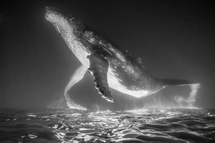 “Above Or Below” By Zach Parker