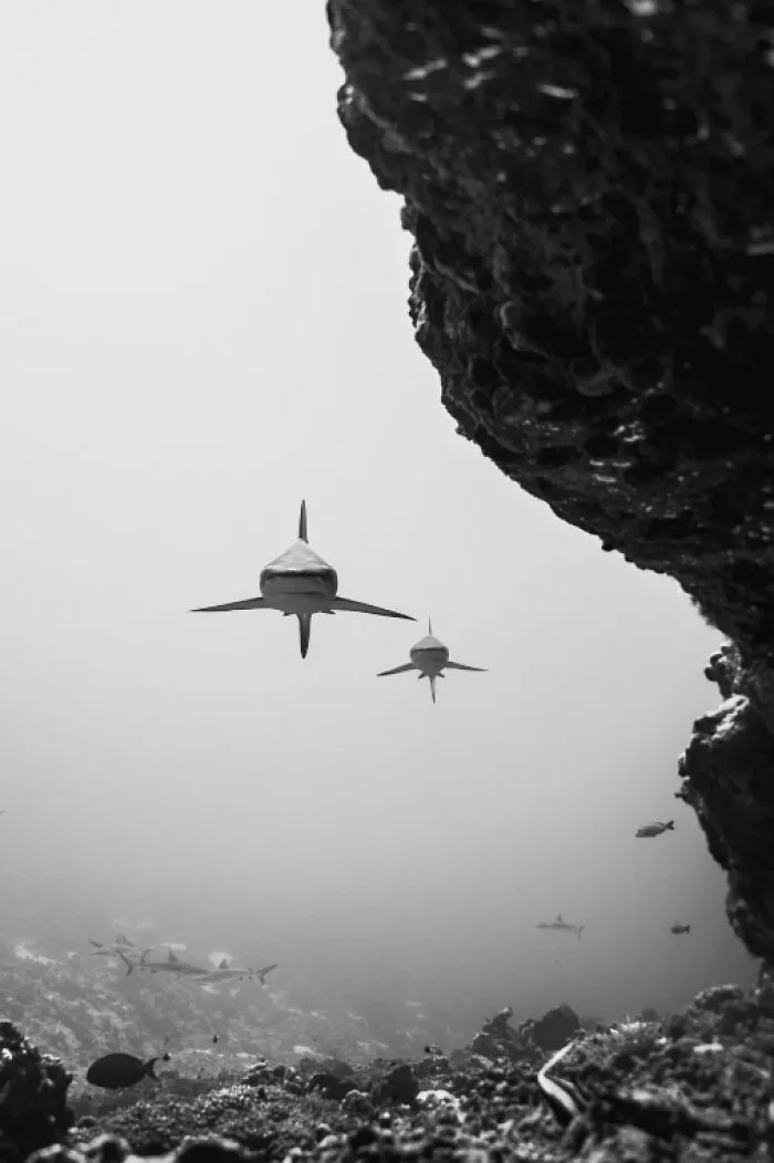 “On Approach” By Ronja Arnold