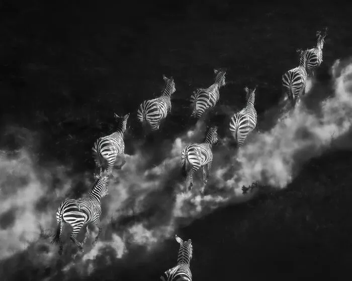 “The Shape Of Escape” By Holly Kirkland