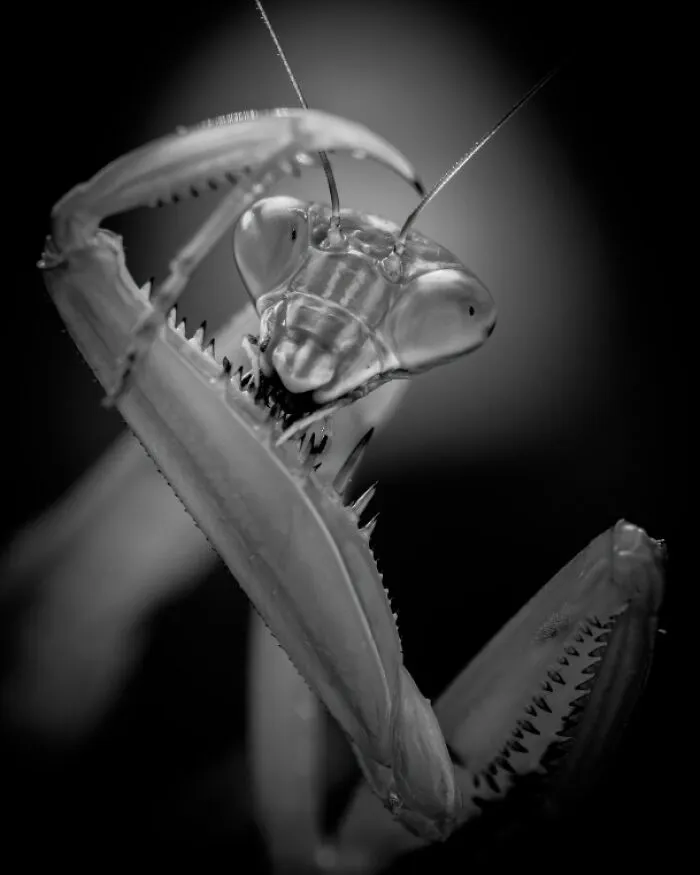 "Clean-Up" By Jon Ehrmann