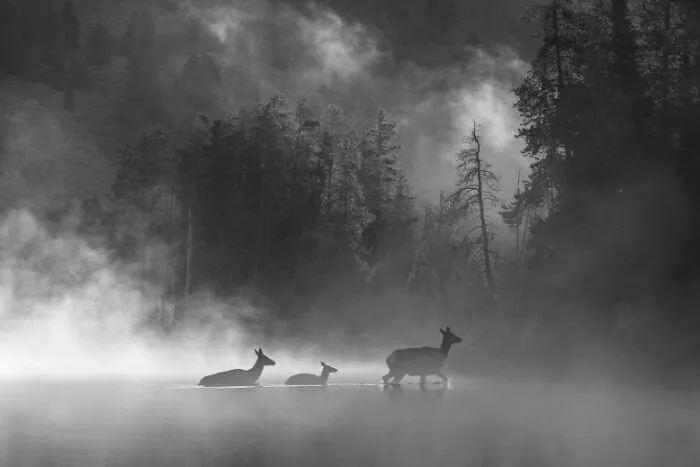 "Against A Quiet Current' By Michael Paul
