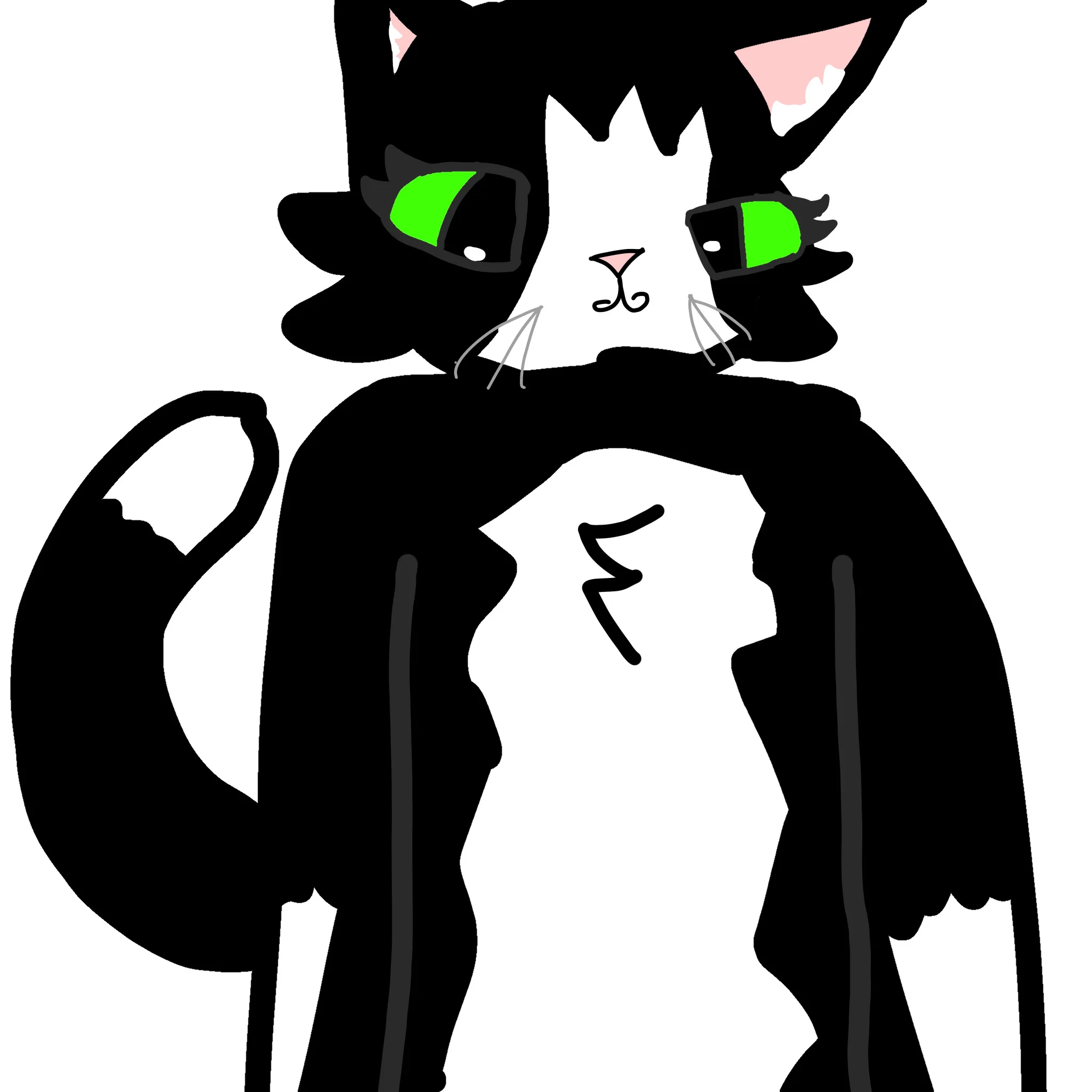 Oero My Cat It's My Real Cat I Really Love Her