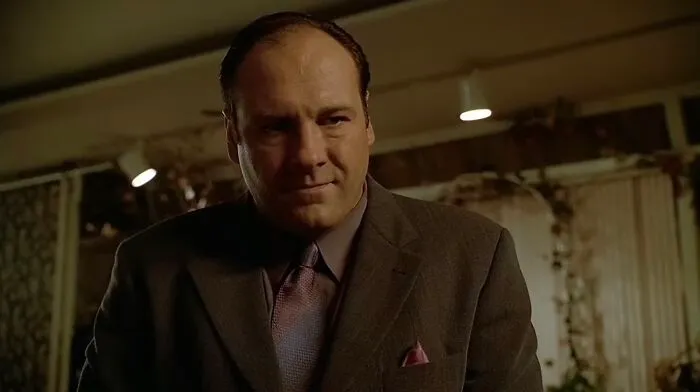 The Sopranos (1999-2007) - Tony Soprano goes to therapy while ordering violence to protect his family and his business.