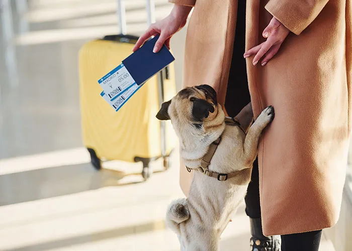 30 Of The Most Memorable Goodbyes Someone Witnessed Or Experienced