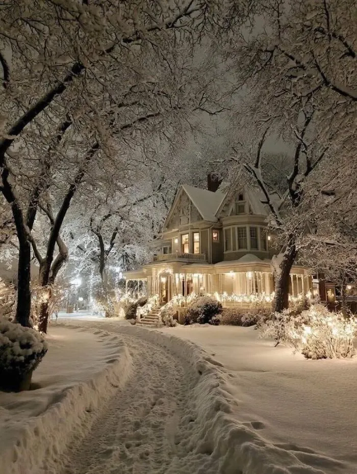 Noches invernales