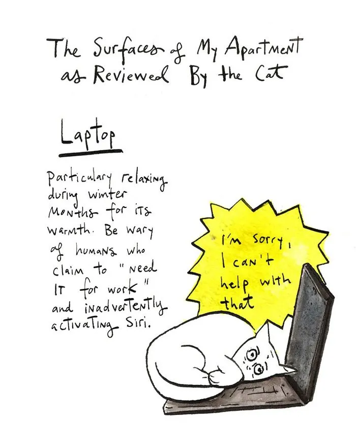 25 Relatable Comics That Showcase The Absurdities Of Everyday Life