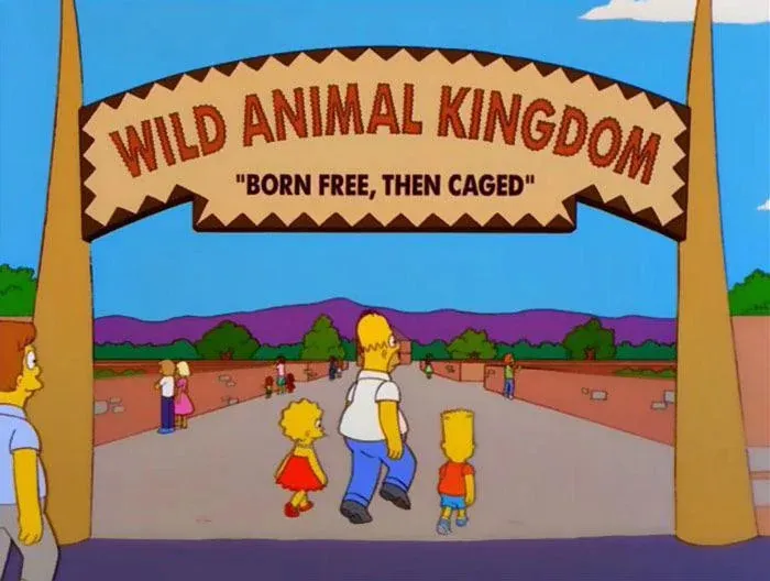 25 Carteles muy divertidos escondidos en Los Simpson