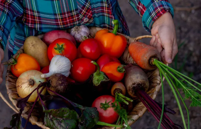 Child holding a basket of fresh vegetables, illustrating boomer opinions on gardening and traditional food practices.