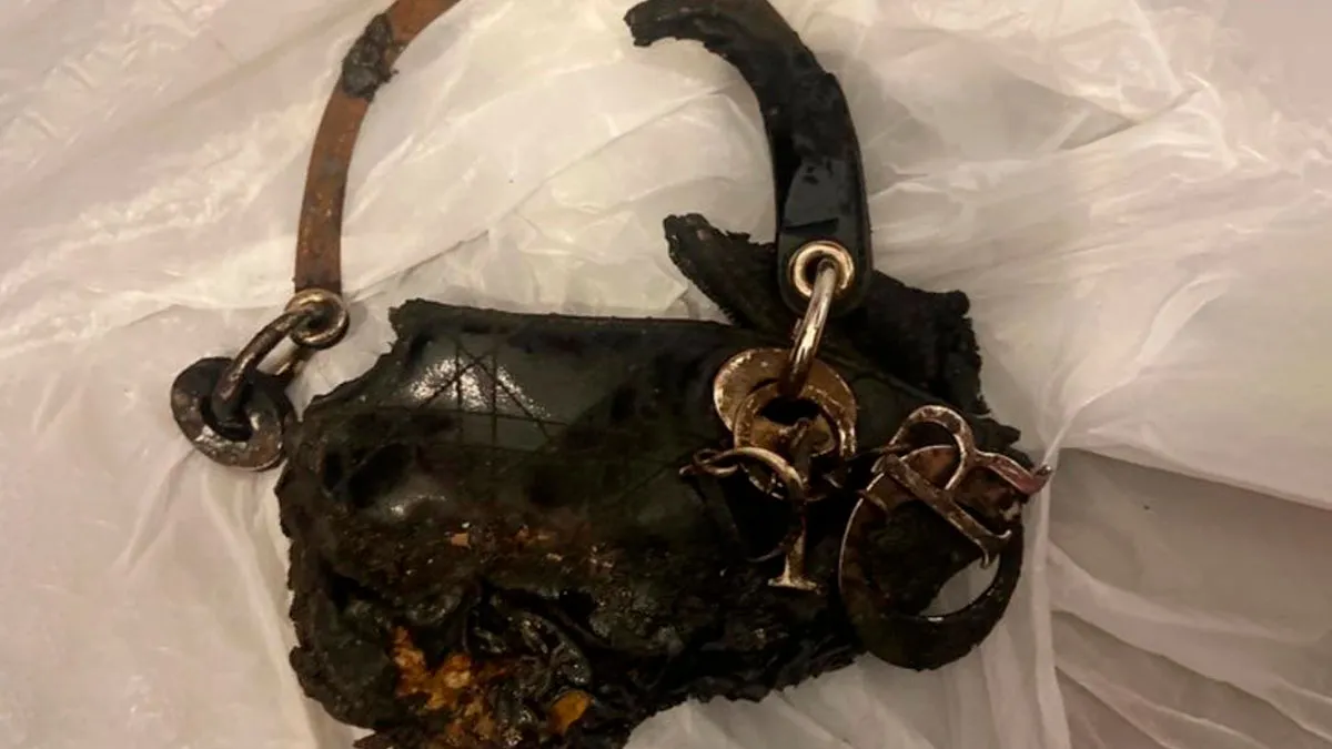 Someone Puts A Dior Handbag For Sale On Vinted, Accidentally Goes Viral