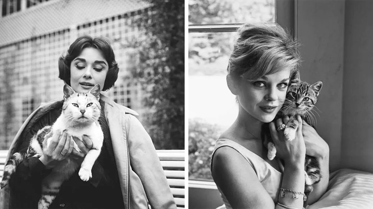 From Movie Stars To Unknown Cat Owners, Here Are 44 Vintage Photos Of Cats (New Pics)