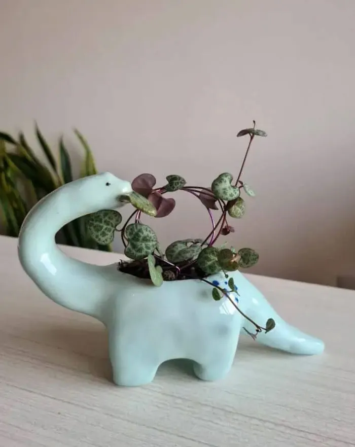 35 Ideas creativas de diseño de interiores que quizá te inspiren a mejorar tu hogar