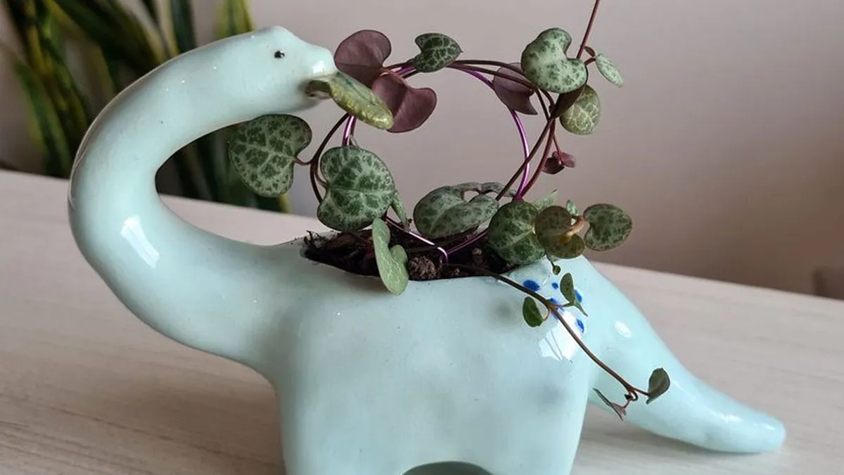35 Ideas creativas de diseño de interiores que quizá te inspiren a mejorar tu hogar