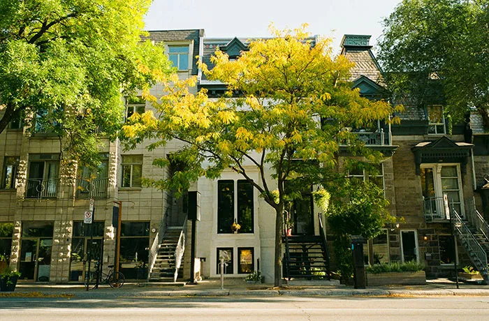 “I Fell In Love With The Culture”: 37 Of The Coolest Cities People Have Ever Traveled To 