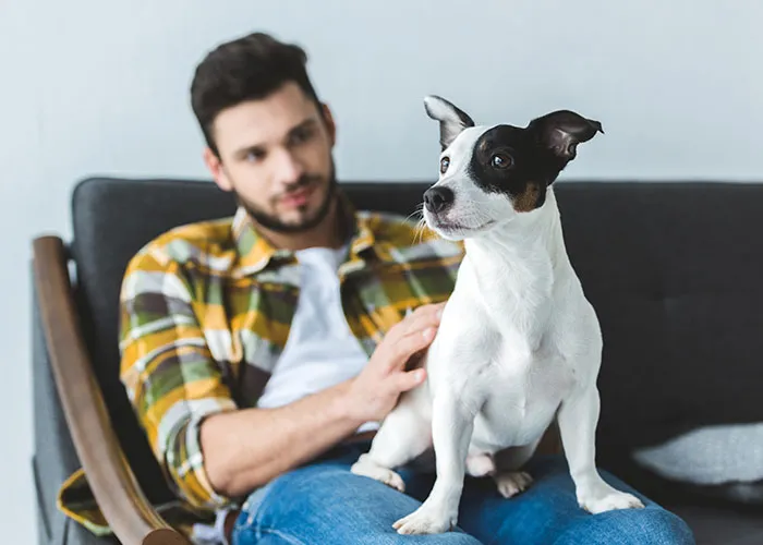 73 House Rules Couples Invented As Jokes That Became Important Traditions
