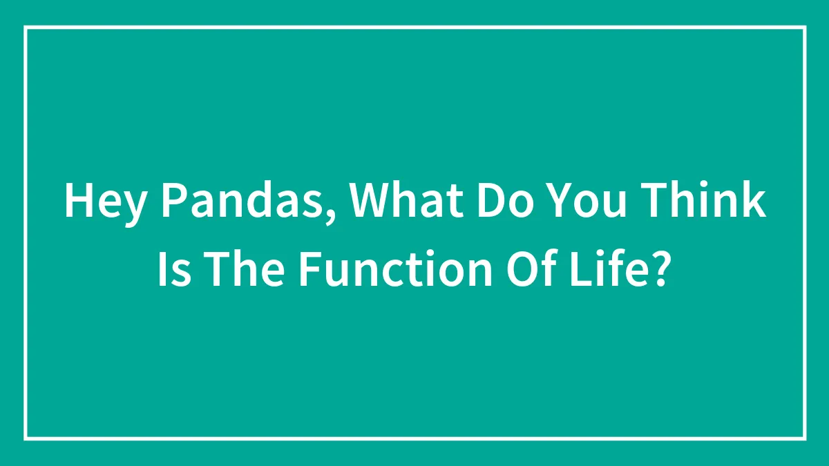 Hey Pandas, What Do You Think Is The Function Of Life?