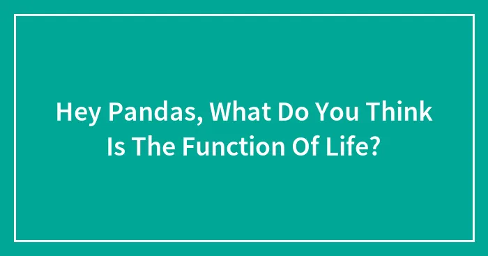 Hey Pandas, What Do You Think Is The Function Of Life?
