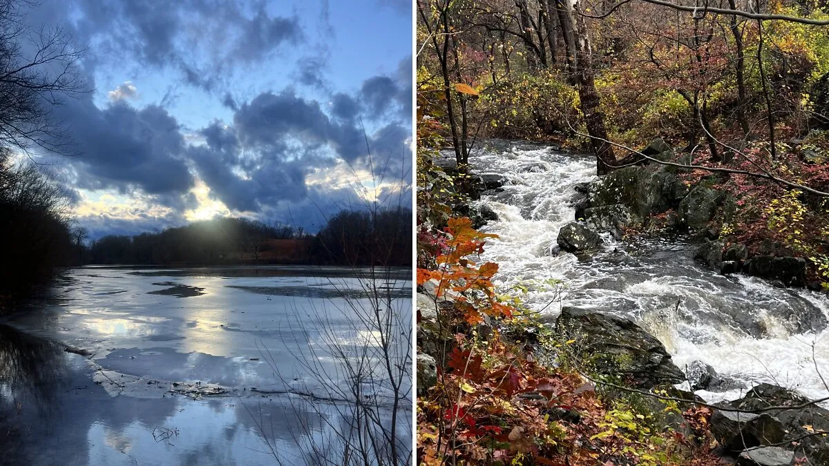Eric Carpenter’s Photo Journey Through The Lens Of A Daily Walk