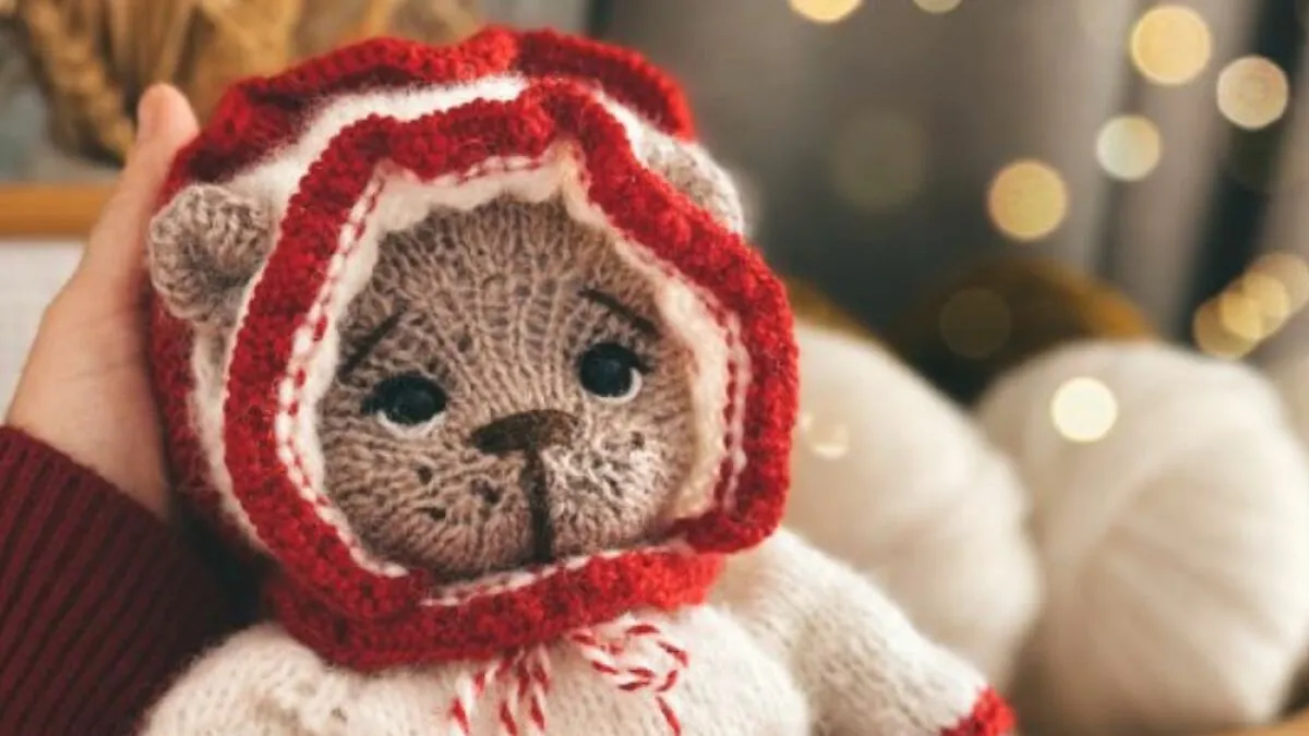 I Created A Knitting Pattern For Teddy Bear Clothes (5 Pics)