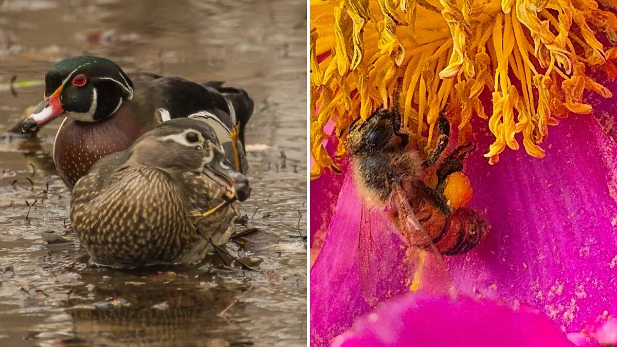 Through Their Eyes: The Rockefeller State Park Preserve Staff Photo Exhibit
