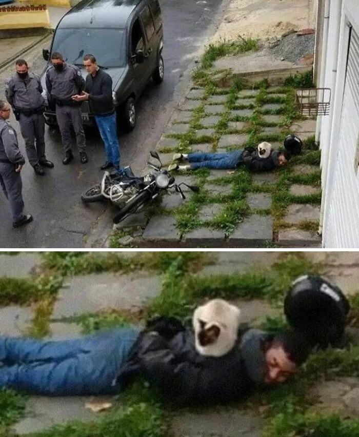 38 Imágenes realmente incómodas aunque divertidas en cierto modo