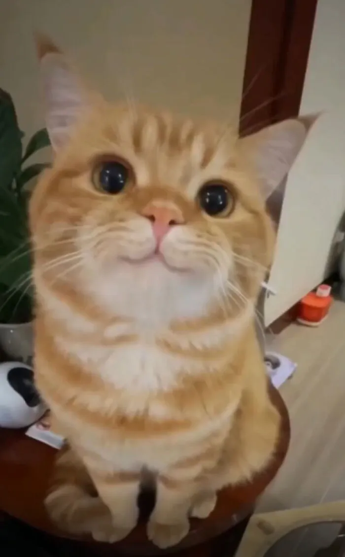 Eyes Full Of Life