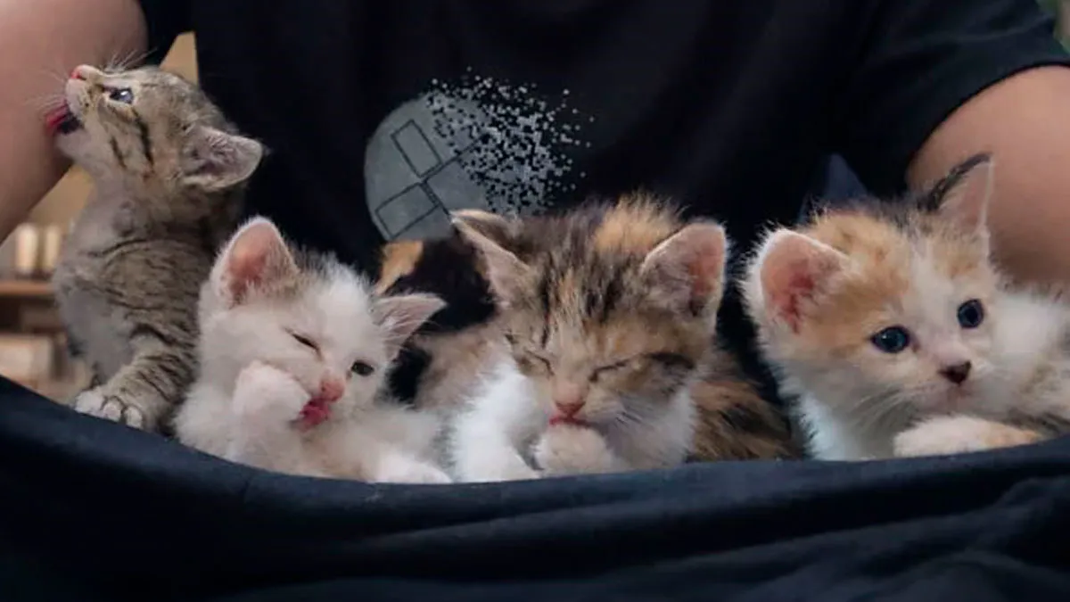 74 Adopted Animals Whose First Month In Their Forever Homes Is Pure Wholesomeness (January Edition)