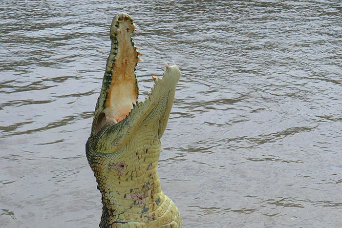 30 Of The Most Dangerous Things People Willingly Or Unwillingly Did