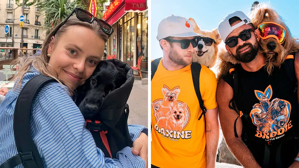 44 Wholesome Photos Of Pups Being Carried Through Cities In Backpacks