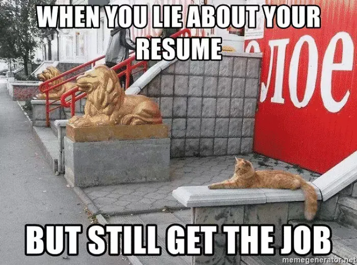 53 Hilarious Resume Memes That Might Be Painfully Relatable