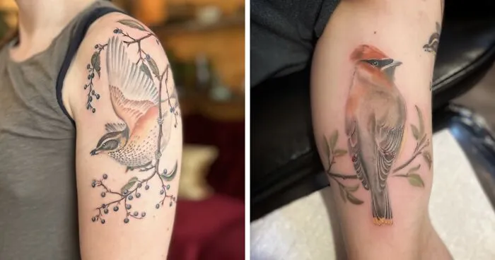The Timeless Bird Tattoos By Tara Morgan