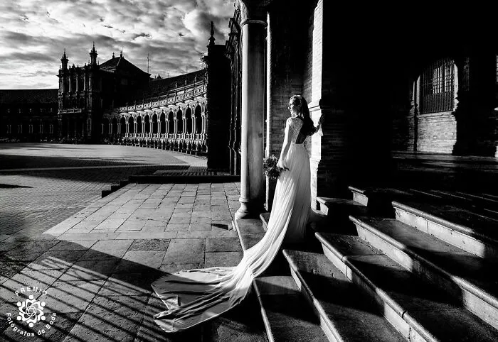 Waiting For The Moment. Phot By Jose Jordano