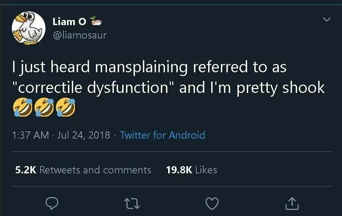 Tweet about mansplaining humor, highlighting feminist posts calling out the patriarchy with zero mercy.