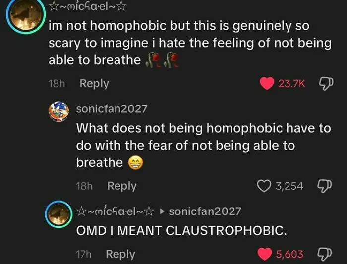 50 Times People Saw Such Ridiculous And Unhinged TikTok Comments: They Just Had To Share