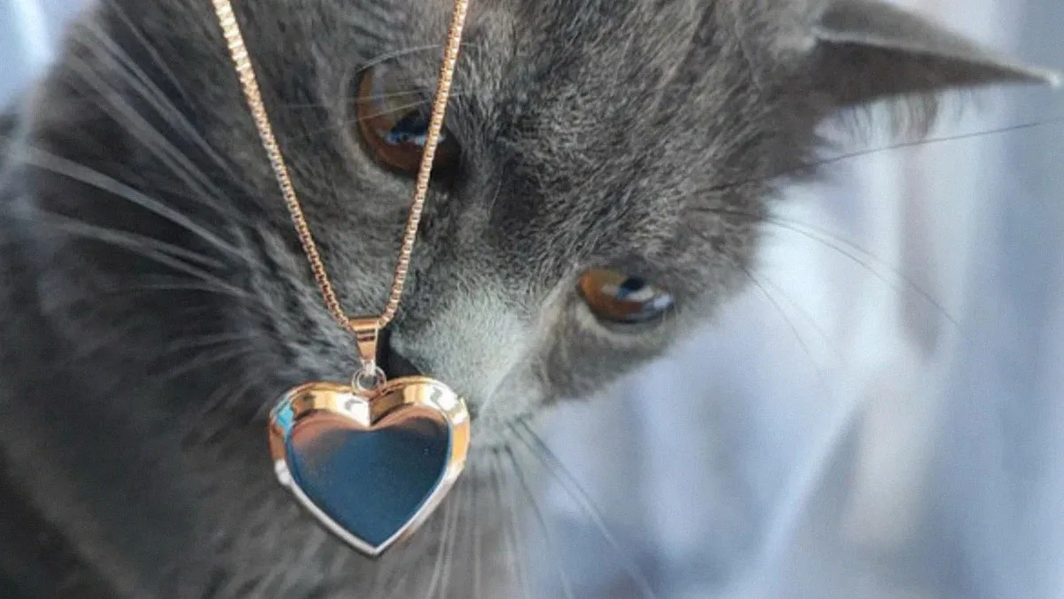 100 Hilarious Cat Cameos People Caught In Vinted Listings