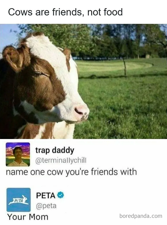 50 Hilarious Memes For Anyone Who Enjoys Their Humor With A Touch Of Darkness
