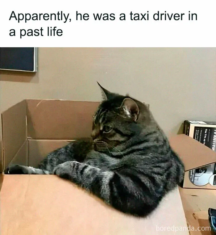 50 Hilarious Memes That Prove That Eastern Europe Just Hits Differently (New Pics)