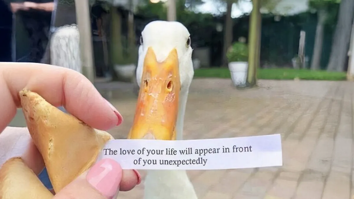79 Hilarious Pictures That Don't Explain Themselves And Never Will