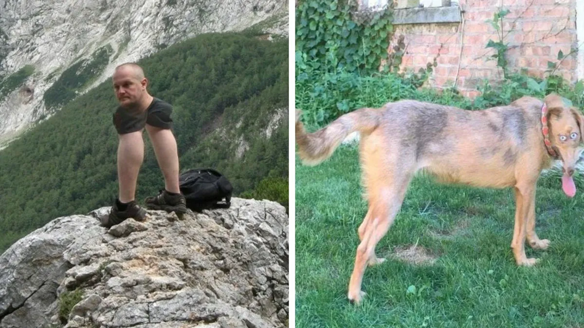 49 Times People’s Failed Panoramic Pics Were Actually Masterpieces