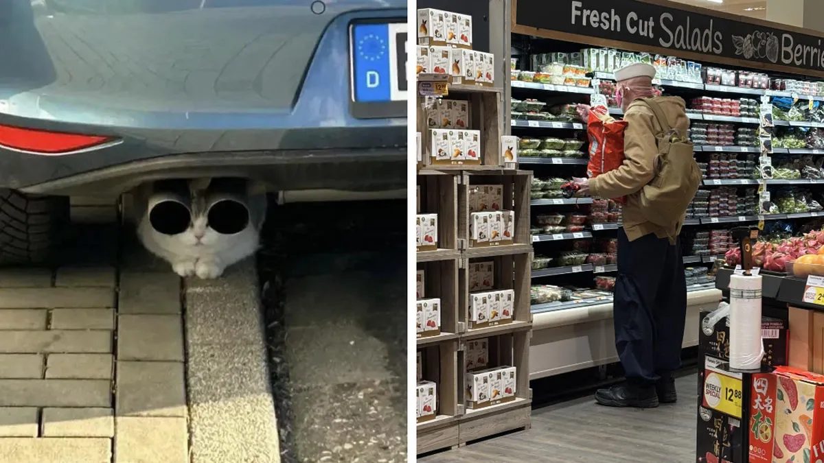 26 Fotos divertidas del año 2025 que resumen lo raro que fue