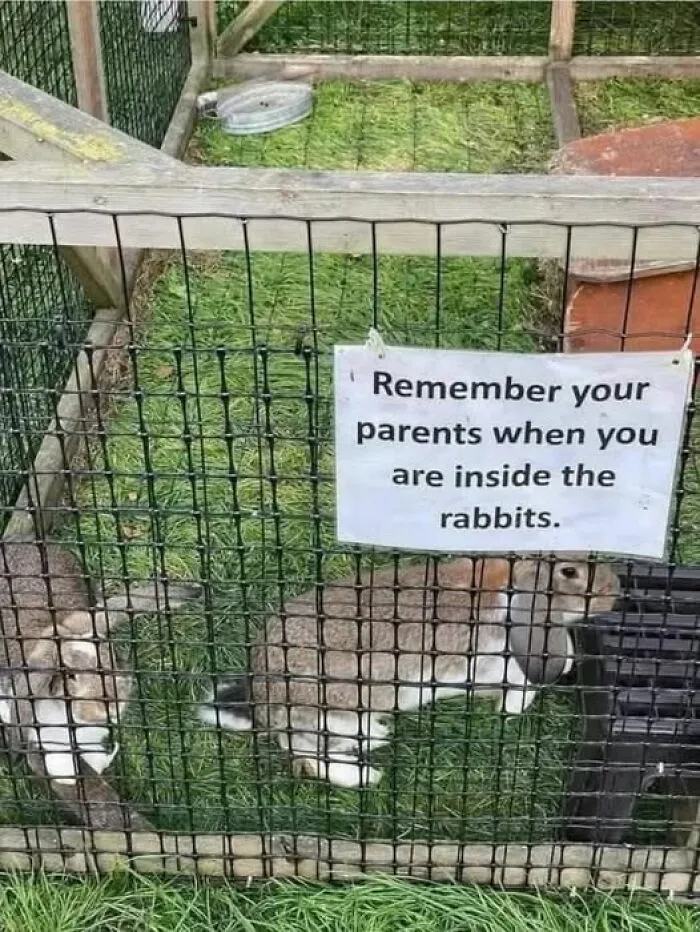 People Almost Had A Stroke Trying To Read These 108 Hilariously Confusing Pics