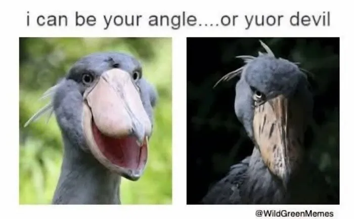 People Almost Had A Stroke Trying To Read These 108 Hilariously Confusing Pics