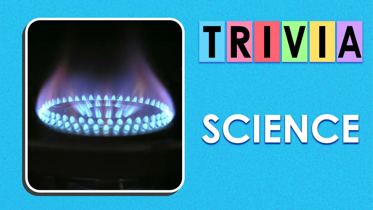 You Know More Than You Think: 28 General Knowledge Science Questions To Prove It