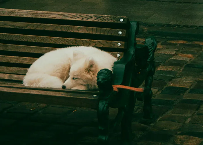 46 Of The Creepiest Things Unhoused People Have Experienced On The Streets