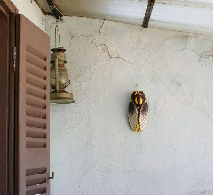 En el sur de Francia (Provenza, más precisamente) tenemos cigarras decorativas de cerámica o hierro fundido en las paredes.
