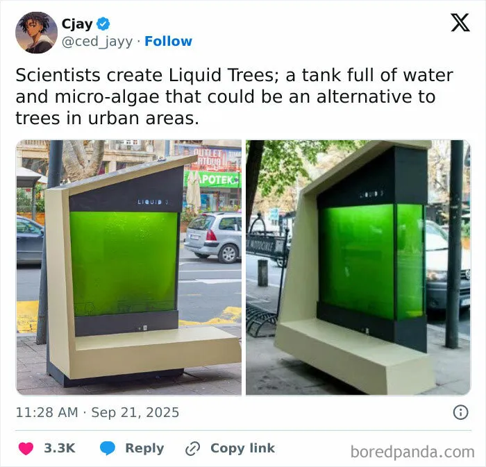 Tank filled with micro-algae called Liquid Trees, a potential urban alternative to natural trees in a dystopian setting.