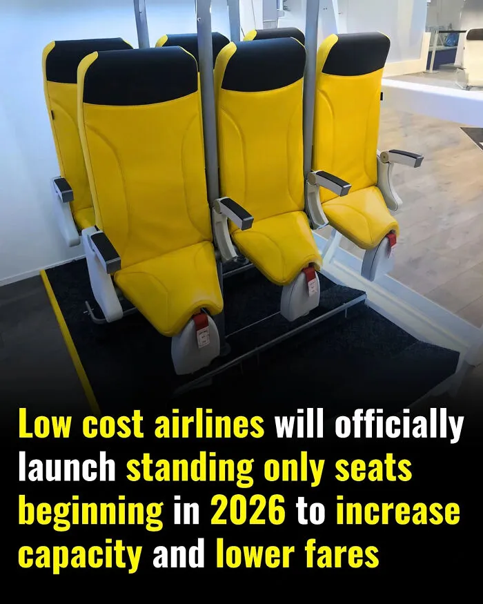 Yellow standing-only seats designed for low cost airlines to increase capacity and lower fares by 2026 dystopia trends.