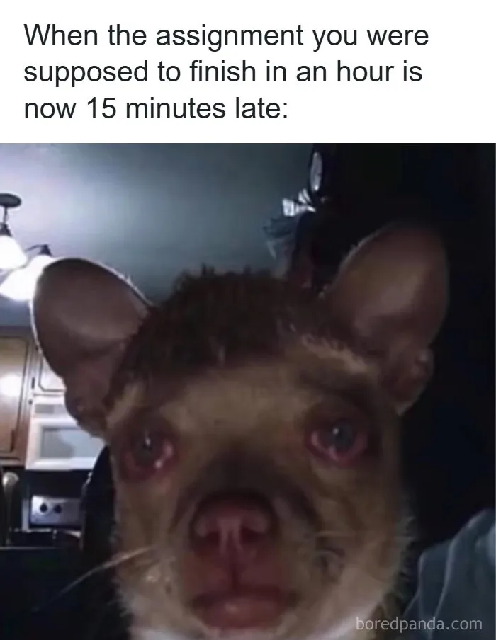 126 College Memes That Made Students Feel Seen
