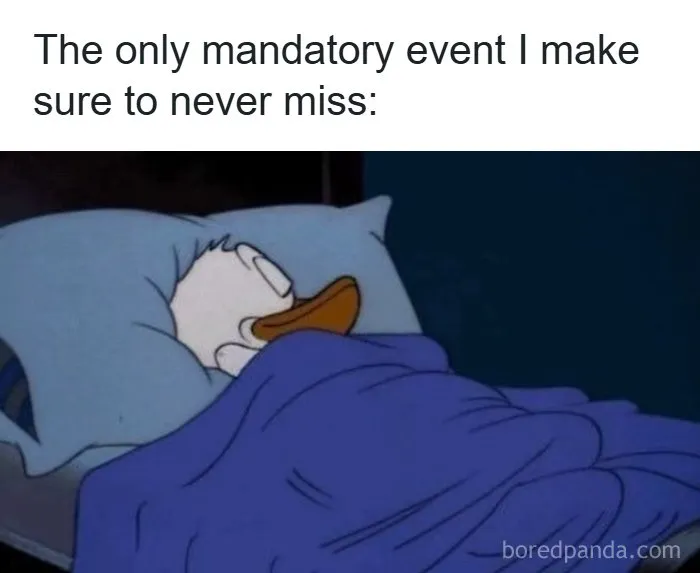 126 College Memes That Made Students Feel Seen