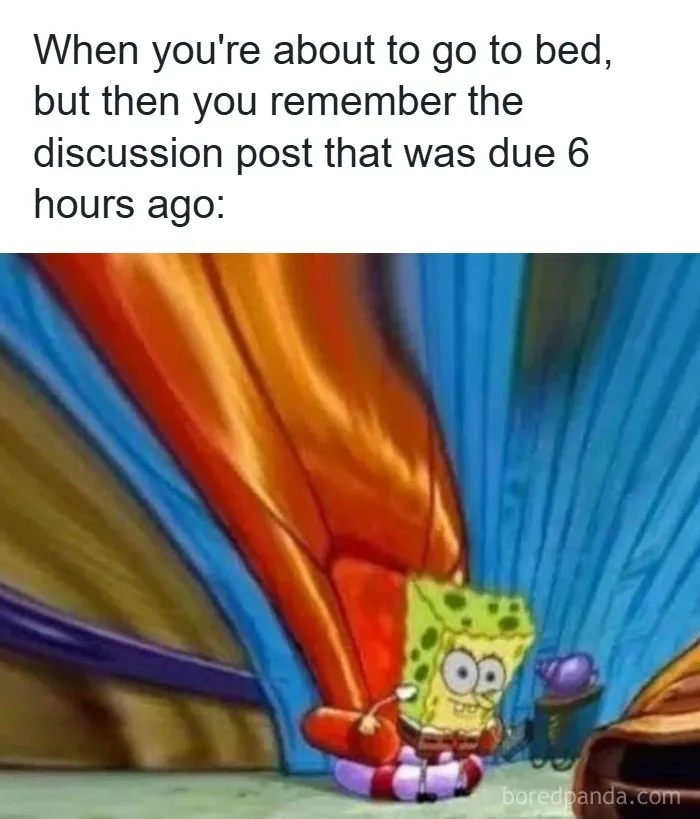 126 College Memes That Made Students Feel Seen
